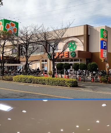 江戸川区船堀７丁目の土地(ライフ船堀店)