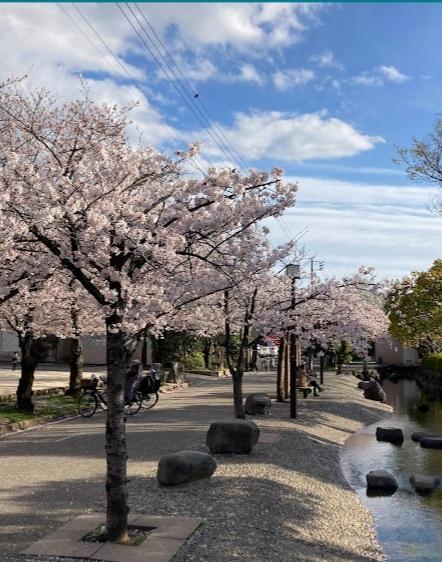 ヒルズ船堀(二之江さくら公園)