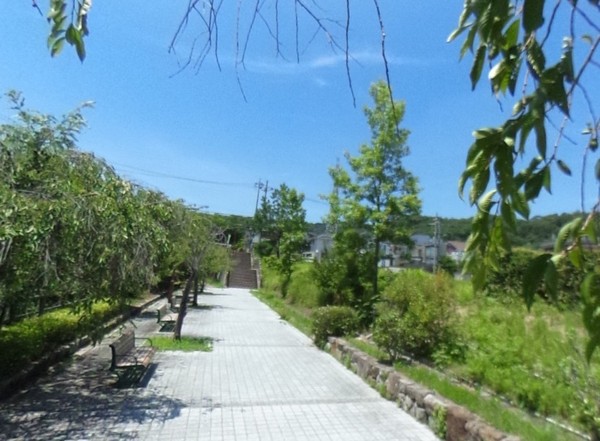 パークヒルズくすのき坂(北谷公園)