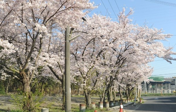 交野市倉治７丁目の新築一戸建(倉治公園)