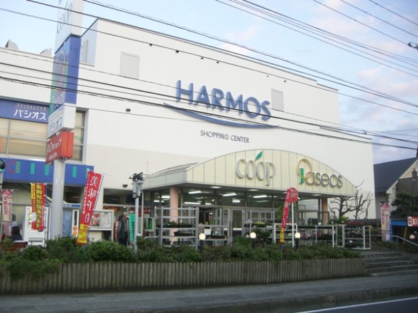 座間市入谷東2丁目 新築一戸建て(ユーコープ ハーモス座間店)