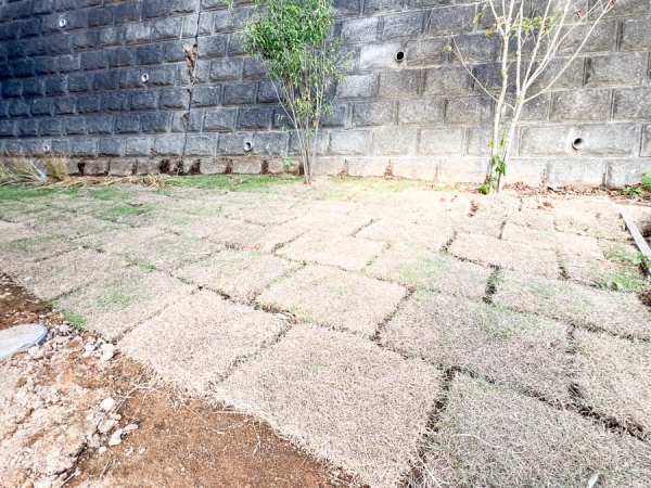 横浜市泉区新橋町 新築一戸建て(庭)