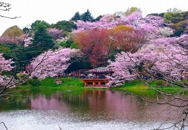 横浜市鶴見区駒岡4丁目 新築一戸建て(神奈川県立三ツ池公園)