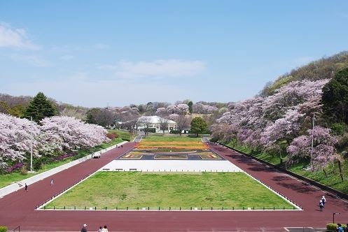 横浜市青葉区鴨志田町　新築一戸建て(こどもの国)