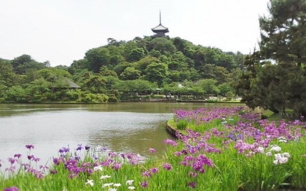 横浜市中区本牧満坂の中古一戸建て(三渓園)