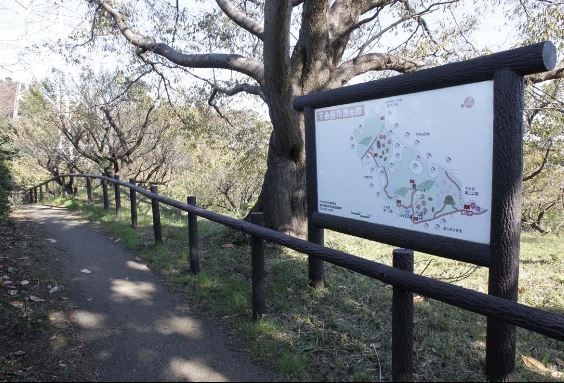 横浜市戸塚区上柏尾町の中古一戸建て(下永谷市民の森)