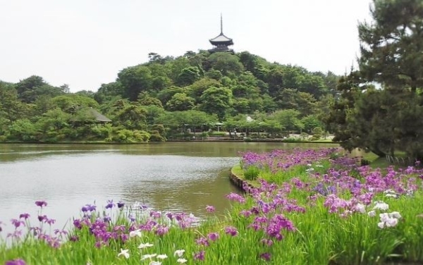 横浜市中区本牧荒井 新築一戸建て(横濱三渓園)