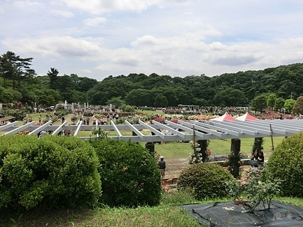 川崎市宮前区五所塚1丁目 新築一戸建て(生田緑地バラ園)