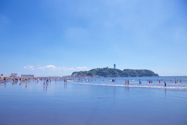 藤沢市鵠沼海岸4丁目 新築一戸建て(鵠沼海岸)