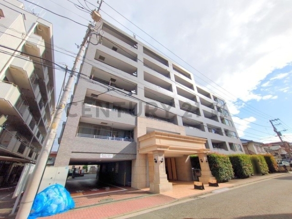 ラウレス矢向