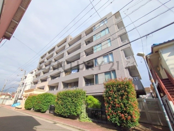 ラウレス矢向