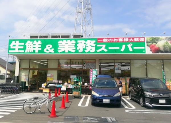 パークハウス武蔵新城ソレイユテラス(生鮮&業務スーパー武蔵新城店)