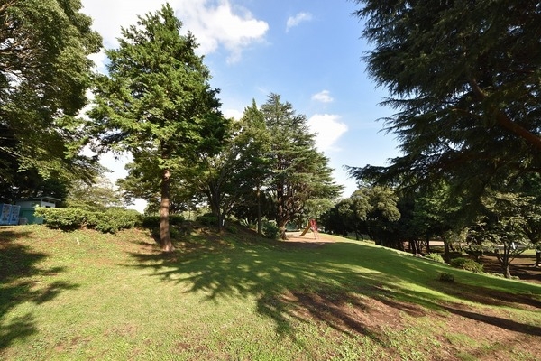 大和市下鶴間 新築一戸建て(つきみ野1号公園)