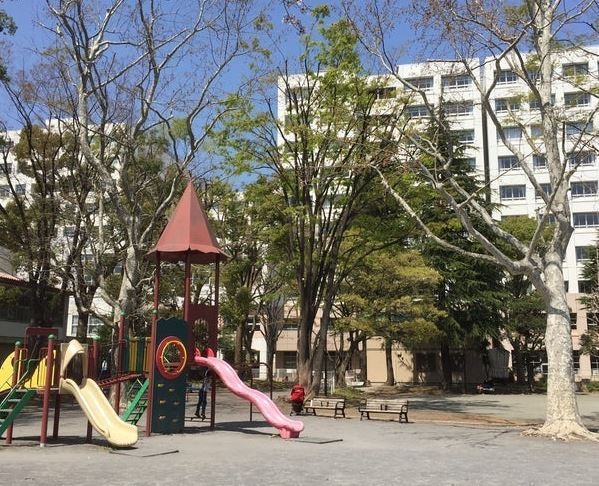 横浜市神奈川区斎藤分町　新築一戸建て(平川町公園)