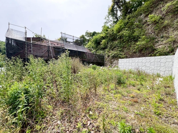 鎌倉市大町6丁目の中古一戸建て(庭)