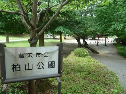 藤沢市城南3丁目の中古一戸建て(柏山公園)