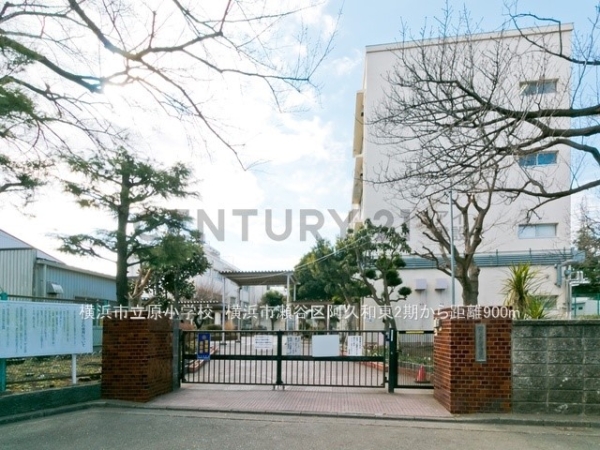 横浜市瀬谷区阿久和東３丁目　新築一戸建て(横浜市立原小学校)