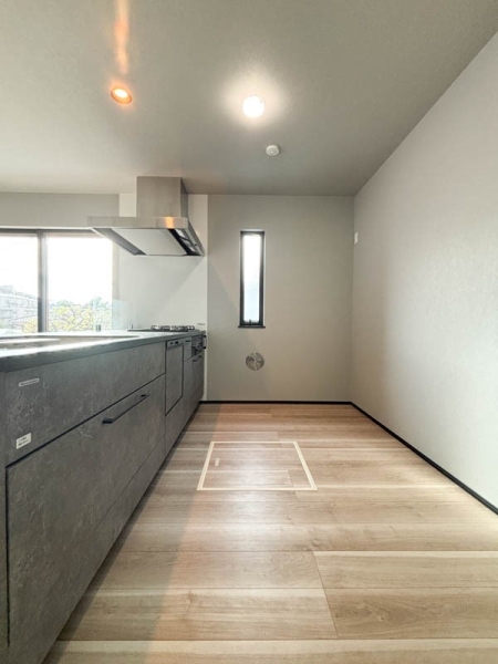 横浜市港北区篠原東2丁目 新築一戸建て(キッチン)