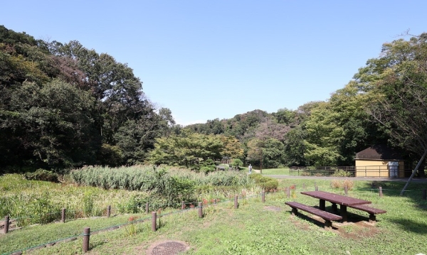 横浜市南区大岡4丁目の中古一戸建て(久良岐公園)