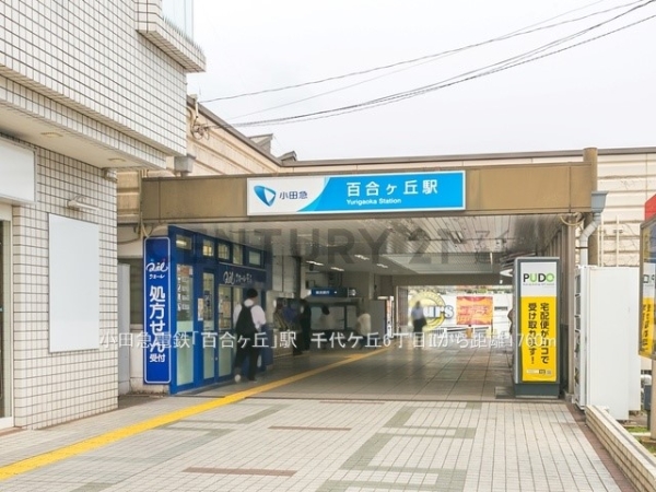川崎市麻生区千代ケ丘６丁目　新築一戸建て(小田急電鉄「百合ヶ丘」駅)