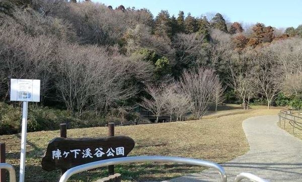 クオス上星川(陣ケ下渓谷公園)