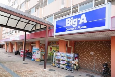 コスモ三ツ沢ガーデン山(ビッグ・エー横浜南神大寺団地店)