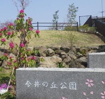 横浜市保土ケ谷区新桜ケ丘１丁目の中古一戸建て(今井の丘公園)