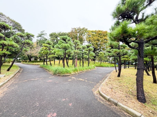 藤沢市湘南台４丁目　新築一戸建て(湘南台公園)