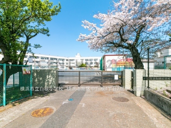 横浜市旭区中白根１丁目　新築一戸建て(横浜市立白根小学校)