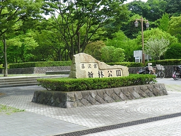 藤沢市川名　新築一戸建て(新林公園)