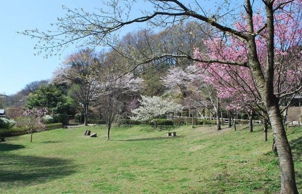 鎌倉市台４丁目の中古一戸建て(鎌倉中央公園)