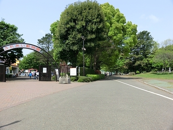 平塚市平塚１丁目　新築一戸建て(平塚市総合公園)