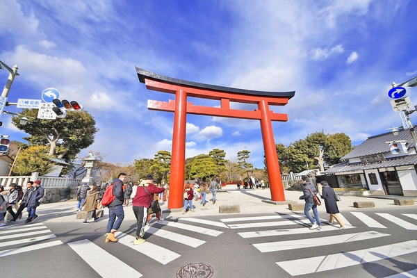 鎌倉市二階堂　新築一戸建て(鶴岡八幡宮)