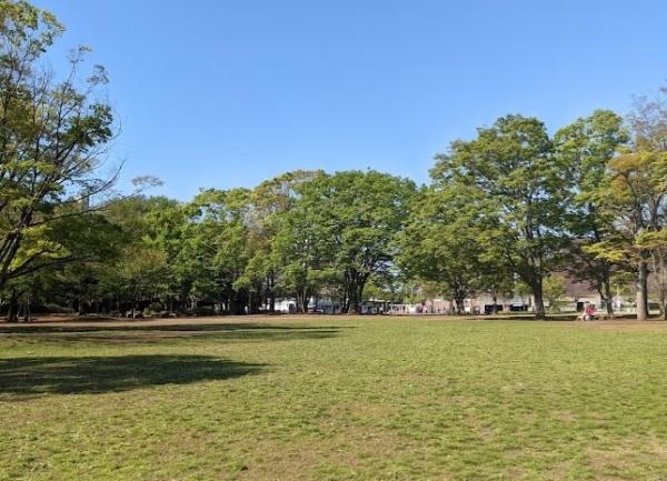 茅ヶ崎市高田４丁目　新築一戸建て(第一カッターきいろ公園)