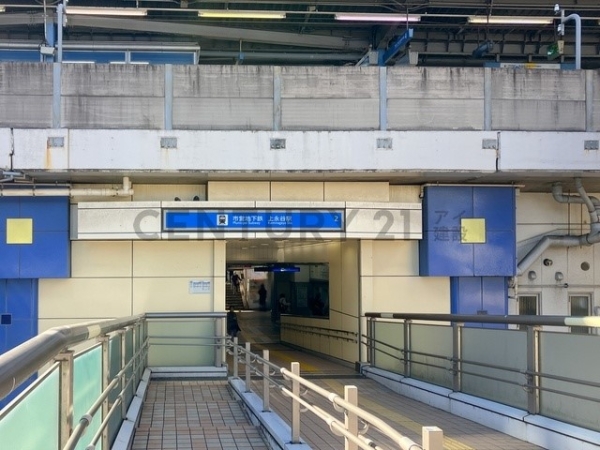 横浜市港南区野庭町　新築一戸建て(横浜市ブルーライン「上永谷」駅)