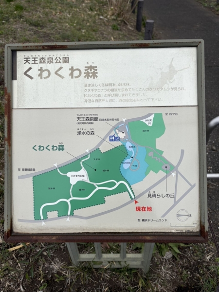 横浜市泉区和泉町の中古一戸建て(天王森泉公園)
