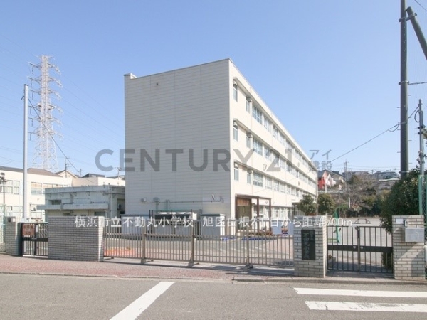 横浜市旭区白根２丁目　新築一戸建て(横浜市立不動丸小学校)