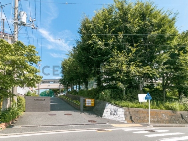 横浜市保土ケ谷区仏向西の中古一戸建て(横浜市立橘中学校)