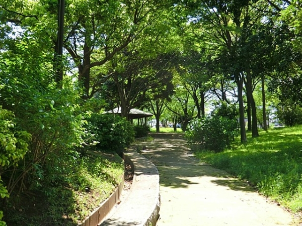 横浜市保土ケ谷区仏向西　新築一戸建て(仏向行坐谷公園)