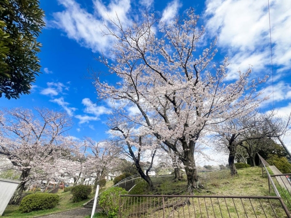 横浜市栄区東上郷町　新築一戸建て(東上郷第二公園)