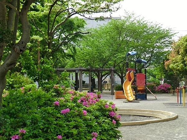 横須賀市佐野町６丁目　新築一戸建て(衣笠栄町公園)