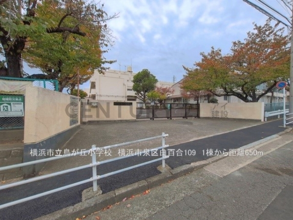 横浜市泉区白百合１丁目　新築一戸建て(横浜市立鳥が丘小学校)