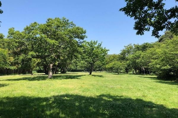 逗子市山の根３丁目　新築一戸建て(池子の森自然公園)