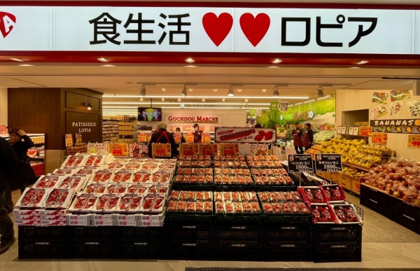 横浜市神奈川区羽沢南３丁目の中古一戸建て(ロピア横浜羽沢店)