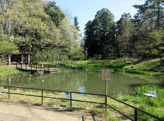 横浜市青葉区藤が丘２丁目　新築一戸建て(藤が丘公園)