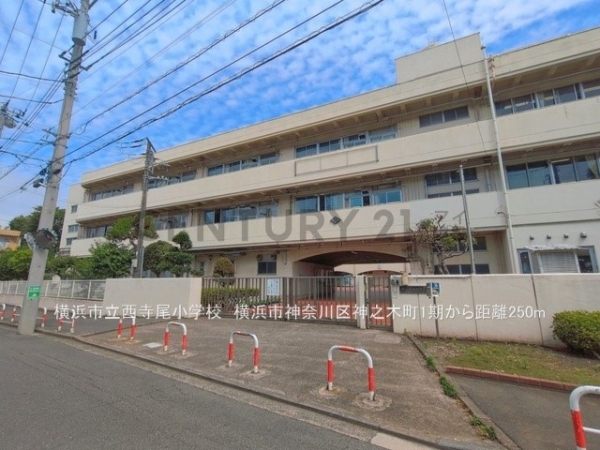 横浜市神奈川区神之木町の土地(横浜市立西寺尾小学校)