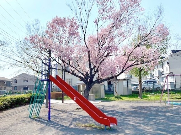 横浜市泉区和泉中央北５丁目　新築一戸建て(上飯田南公園)