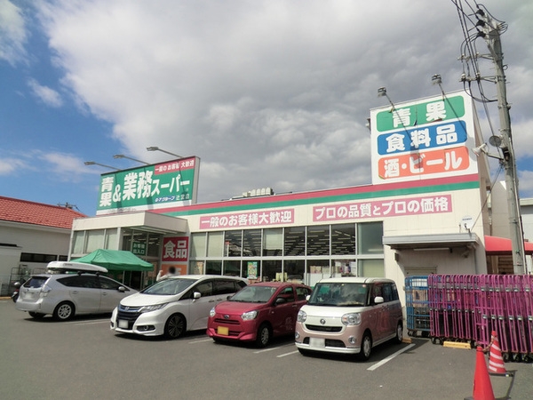 藤沢市辻堂太平台１丁目　新築一戸建て(業務スーパー辻堂店)