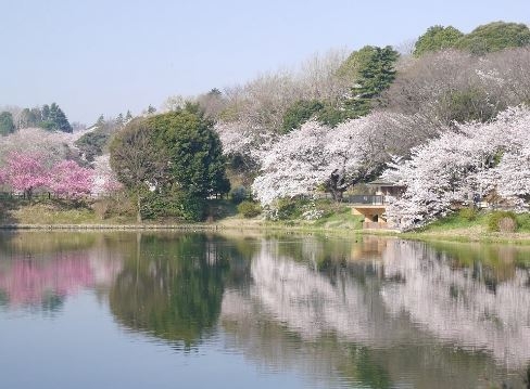 横浜市鶴見区獅子ケ谷１丁目　新築一戸建て(三ツ池公園)