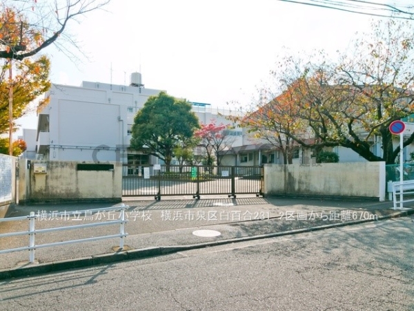 横浜市戸塚区鳥が丘　新築一戸建て(横浜市立鳥が丘小学校)